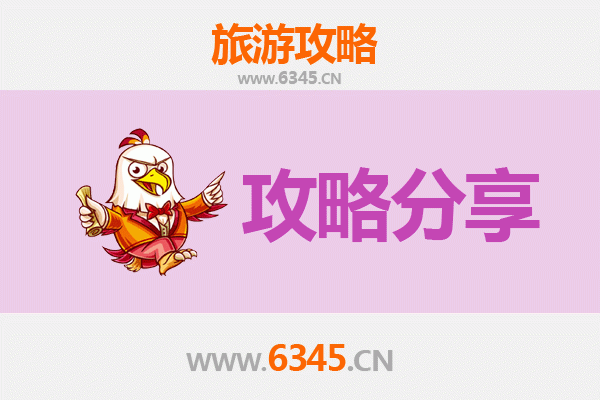 阜阳颍东旅游攻略：跟团与自由行深度对比